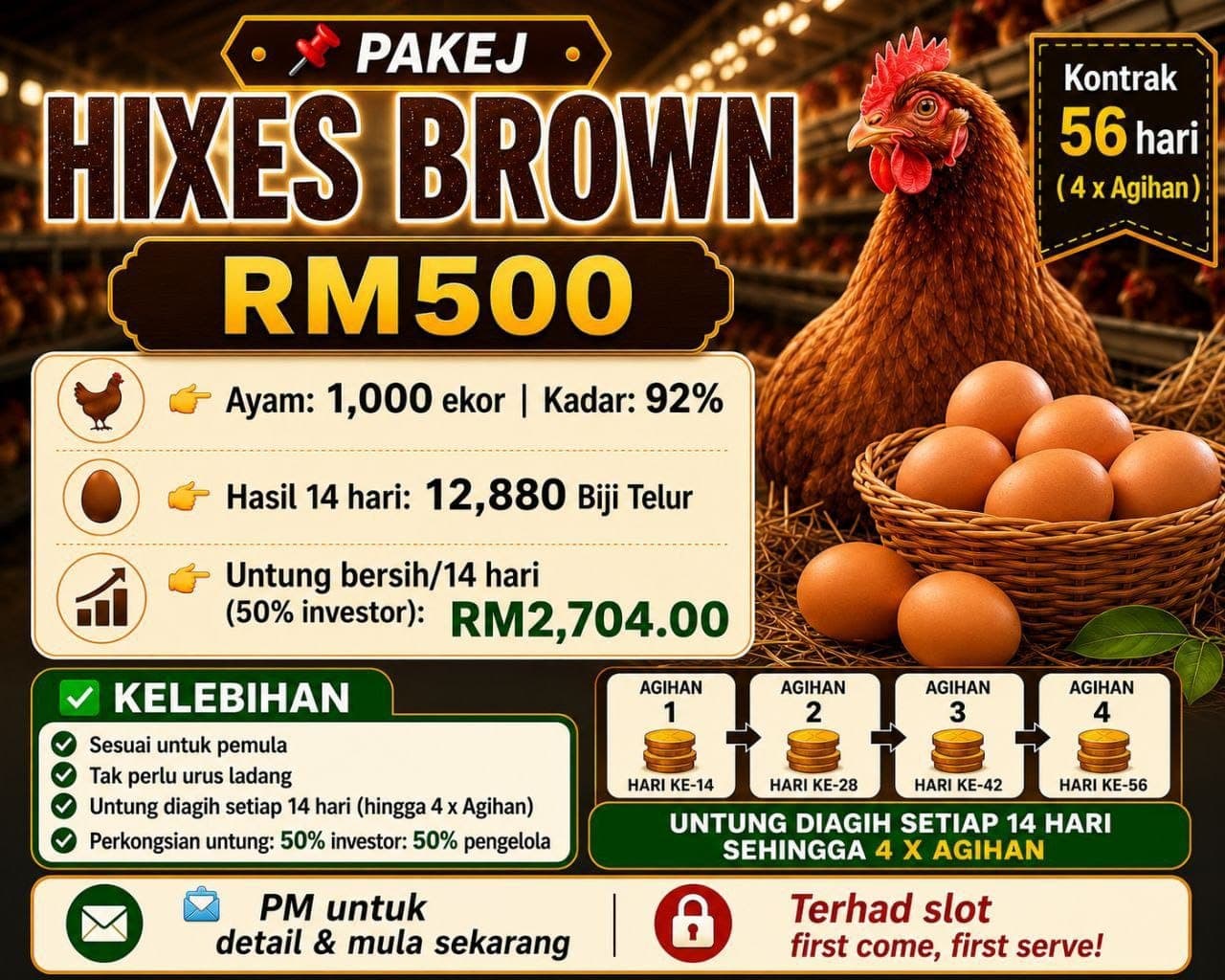 PAKEJ HIXES BROWN