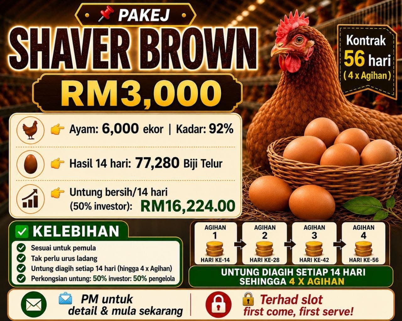 PAKEJ SHAVER BROWN