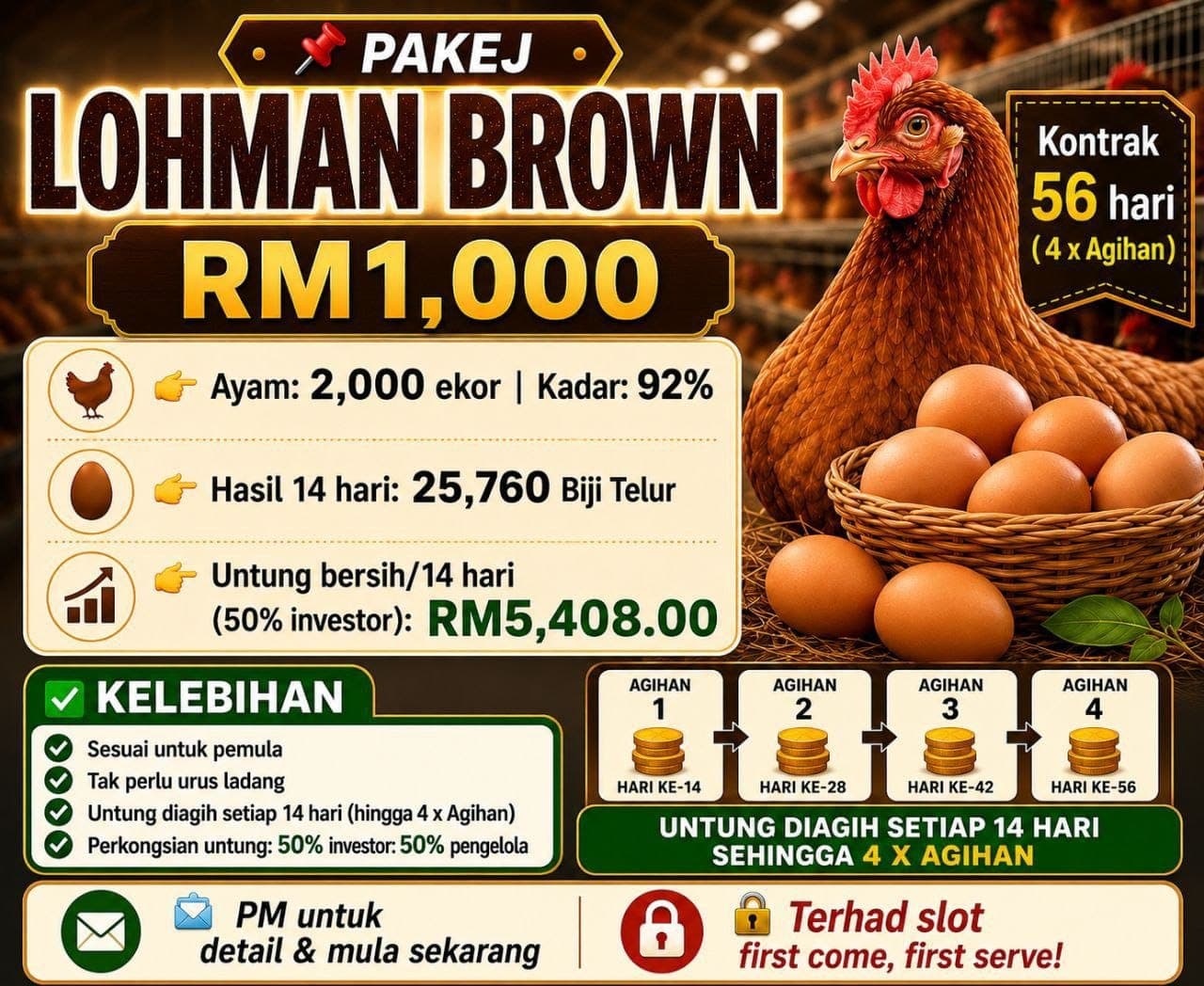 PAKEJ LOHMAN BROWN